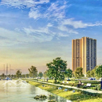 Rổ Hàng Độc Quyền Đơn Vị Phát Triển Dự Án, Gía Gốc Từ Cđt - 1 Phòng Ngủ 2 Phòng Ngủ 3 Phòng Ngủ- Ck 19 Chỉ Vàng - Ls 0%