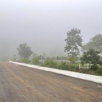 Chính Chủ Cần Tiền Bán Lỗ Lô Đất 500M2 Bảo Lâm, 1 Tỷ 450 Triệu Có Thương Lượng Trong Tháng 12