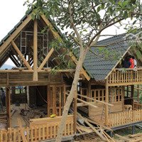 Đất 1177M2 Làm Nhà Vườn Tại Bảo Lâm, Sẵn Sổ, An Ninh, Suối Tự Nhiên Bao Quanh Nhà, Dân Cư Hiện Hữu
