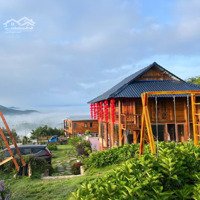 Đất 1177M2 Làm Nhà Vườn Tại Bảo Lâm, Sẵn Sổ, An Ninh, Suối Tự Nhiên Bao Quanh Nhà, Dân Cư Hiện Hữu