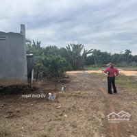 Hàng Hiếm Tại Nhân Nghĩa, Xuân Tây, Cẩm Mỹ, Đồng Nai, 650 Triệu, 1000 M2