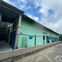 Sang Nhượng Dãy Trọ 1 Kiot - 8 Phòng Ở Nguyễn Thị Lắng, Ngay Kcn Tân Phú Trung 202M2 Shr