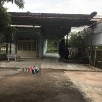 Bán Đất Tại Đường Phước Bình, Xã Phước Bình, Long Thành, Đồng Nai, 6,3 Tỷ, 830M2