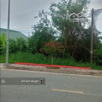 Cần Bán Gấp Đất Mặt Tiền Đường Tân Xuân 2, Hóc Môn, 100M2, Gần Trường Thcs Tô Ký, Shr