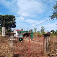 Chính Chủ Bán Gấp Đất Nền Thổ Cư 6X20M Tại Gia Tân 2 Giá Chỉ 699 Triệu, Sổ Sẵn, Pháp Lý Chuẩn!