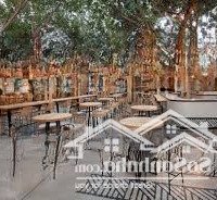 Cực Phẩm Cho Thuê Nhà Mặt Phố Lê Phụng Hiểu- Hoàn Kiếm-Diện Tích200M, Mặt Tiền 10M, Sân Vườn, Thông Sàn.