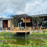 Cần Chuyển Nhượng Farm Stay Nghỉ Dưỡng Xã Diên Hoà Đã Hoàn Thiện View Đỉnh Đồi, Tuyệt Đẹp