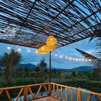 Cần Chuyển Nhượng Farm Stay Nghỉ Dưỡng Xã Diên Hoà Đã Hoàn Thiện View Đỉnh Đồi, Tuyệt Đẹp