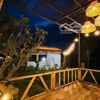 Cần Chuyển Nhượng Farm Stay Nghỉ Dưỡng Xã Diên Hoà Đã Hoàn Thiện View Đỉnh Đồi, Tuyệt Đẹp