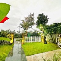 Cần Bán Gấp Villa Casamia Hội An