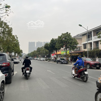 Bán Biệt Thự An Phú Tại Đường Nông Quốc Chấn, Dương Nội, Căn Góc 238 M2, Kinh Doanh, Giá Bán 45 Tỷ