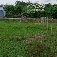 Đất Ngộp Mùa Dịch 522 Full Thổ Cư Mặt Tiền Cao Thị Đậu Xã Phú Mỹ Hưng
