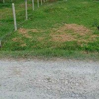 Đất Ngộp Mùa Dịch 522 Full Thổ Cư Mặt Tiền Cao Thị Đậu Xã Phú Mỹ Hưng