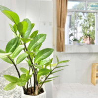 Cho Thuê Phòng Trọ Gác Cao 2M Giá Rẻ Ở Linh Đông, Tô Ngọc Vân, Thủ Đức
