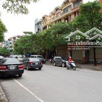 Bán Gấp, Mặt Phố Hàng Bài, 198M2, 3 Tầng, Mặt Tiền 6M, 109 Tỉ