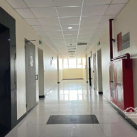 Chcc 3 Phòng Ngủhồ Gươm Plaza 102 - 104 Trần Phú, An Sinh Tuyệt Đối-Tiện Ích Ngập Tràn