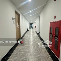 Chủ Đầu Tư Dự Án Wisteria Mở Bán Những Căn Hộ 3 Phòng Ngủ 4 Phòng Ngủcuối Cùng - Ký Trực Tiếp Cđt