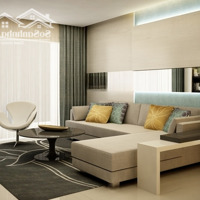 Bán Cc Grand View, Nguyễn Đức Cảnh, 8 Tỷ, 118M2, Bao Đẹp Giá Cực Chất