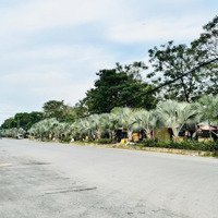 Bán Đất Mặt Tiền Đường Lộ Giới 10M Khu Dân Cư Phước Thiện, Gần Vinhome Grand Park