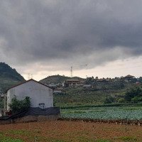 Bán Lô Đất View Đẹp - Tựa Núi - Gần Ql6 - Tt Nông Trường Mộc Châu