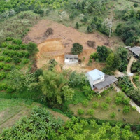 Bán Đất Phường Thống Nhất Tp Hòa Bìnhdiện Tích4679M2 Thổ Cư 700M2, Giá Nhỉnh 1 Triệu/M2 View Cao Thoáng