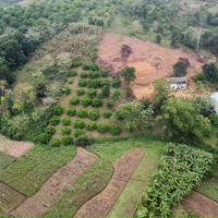 Bán Đất Phường Thống Nhất Tp Hòa Bìnhdiện Tích4679M2 Thổ Cư 700M2, Giá Nhỉnh 1 Triệu/M2 View Cao Thoáng