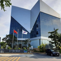 Bán Biệt Thự Hàng Hiếm Tại Đường Bùi Tá Hán 250M2 - Toàn Huy Hoàng