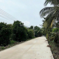 Bán Vườn Măng Cut Ngang 27 M Giá Cực Chất Tại An Sơn, Thuận An, Bình Dương, 6 Tỷ, 780M2( 150 M Odt)