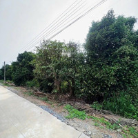Bán Vườn Măng Cut Ngang 27 M Giá Cực Chất Tại An Sơn, Thuận An, Bình Dương, 6 Tỷ, 780M2( 150 M Odt)