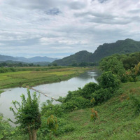 Cần Bán 2200M Đất Cây Lâu Năm Tại Xã Bắc Sơn, Kim Bôi, Hòa Bình