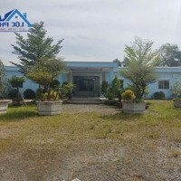 Bán Hơn 4.5Ha Xưởng Và Đất Full Skc Phước Tân. Giá Chỉ 3 Triệu/M2 Đã Đóng Thuế 1 Lần