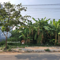 Bán Đất Thái Văn Lung, Hòa Xuân, Cẩm Lệ, Đà Nẵng 44 Triệu / M2, 125 M2 Hàng Hiếm