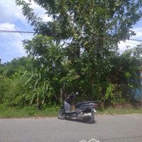 Cần Bán Gấp Lô Đất Gần Đường 605 Đà Nẵng, Đường Nhựa Liên Xã, Sát Ngay Trường Học