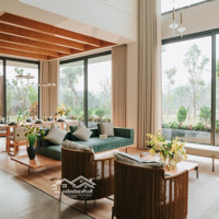 Mở Bán Biệt Thự Hà Nội Tropical Garden - Xanh Villas 2 Tại Hòa Lạc Sổ Đỏ Lâu Dài, Miễn Lãi 18 Tháng