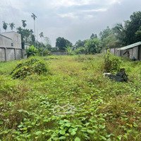 Đất Bán Full Thổ Cư 1/ Hà Duy Phiên Vào 500 M Đường Lớn Diện Tích 1.500M2