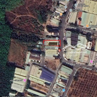 Bán Đất Chính Chủ Đường Số 9 Trục Chính Hòa Phú, Thủ Dầu Một Vị Trí Vàng, Đầu Tư Sinh Lời Cao!