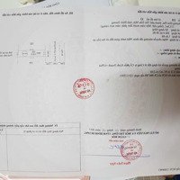 Bán Đất Chính Chủ Đường Số 9 Trục Chính Hòa Phú, Thủ Dầu Một Vị Trí Vàng, Đầu Tư Sinh Lời Cao!