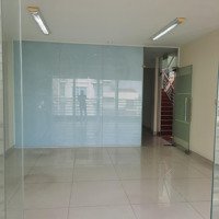 Cho Thuê Văn Phòng Tại Tòa Nhà Thịnh Phát 88 Bạch Đằng, Phường 2, Quận Tân Bình, Tp. Hcm
