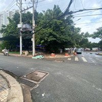 Cho Thuê Nhà Mặt Phố Tại Tây Thạnh, 50 Triệu, 175 M2