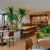 Mặt Tiền 12M Mặt Phố Nguyễn Hữu Huân, Diện Tích 40M2 X 6 Tầng, Thông Sàn, Mọi Mô Hình Kinh Doanh