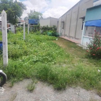 650 Triệu Cho Lô Đất 109M2Mặt Tiềnđường Số 417 Phước Vĩnh An - Thổ Cư Đầy Đủ