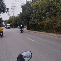 Bán Đất Mặt Tiền 3,3M Tại Thị Trấn Đông Anh, 3,2 Tỷ, 46M2 Hàng Hiếm