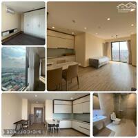 Cho thuê căn hộ 1 ngủ, 1 vệ sinh tại Berriver Nguyễn Văn Cừ, giá: 11tr/th, LH 0946 204 597