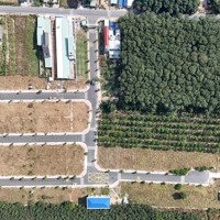 Chỉ 390 Triệu Để Sở Hữu Lô Đất Nền Dự Án Gần 80M2 Tại Tân Uyên, Bình Dương