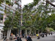 Cho Thuê Mặt Bằng Lô Góc Mặt Phố Thi Sách, Hàng Hot Siêu Phẩm Kinh Doanh Mọi Mô Hình