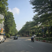Ba Đình. Mặt Phố Cực Hiếm - 10,5 Tỷ - 38M2. Phố Đẹp Thoáng. Vỉa Hè Rộng. Kinh Doanh Đỉnh. Giá Đẹp