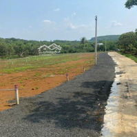 Chính Chủ Bán Gấp Lô Đất Bình Phước , Shr