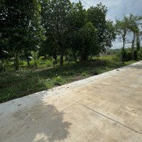 Chính Chủ Xả Lỗ 500M2 Đất Phủ Hồng Phường Bảo Vinh, Tp.long Khánh Sát Nhựa Lớn 30M.