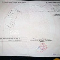 Cần Bán Vài Lô Góc Khu Biển Tân Trà - Đông Hải, Giá Cực Tốt Đầu Tư