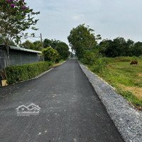 Đại Hạ Giá 140M2 Full Thổ Giá Chỉ 490 Triệu Phước Hiệp Củ Chi Giá Còn Tl